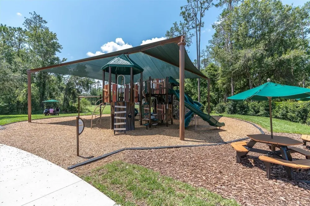 27027 BRUSH CREEK WAY Wesley Chapel, FL 33544