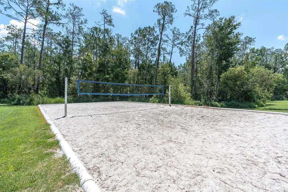 27027 BRUSH CREEK WAY Wesley Chapel, FL 33544