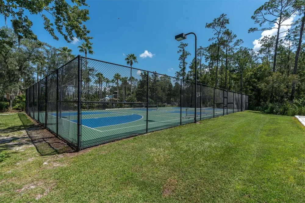 27027 BRUSH CREEK WAY Wesley Chapel, FL 33544