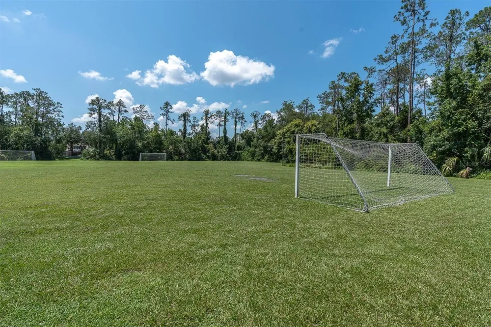 27027 BRUSH CREEK WAY Wesley Chapel, FL 33544