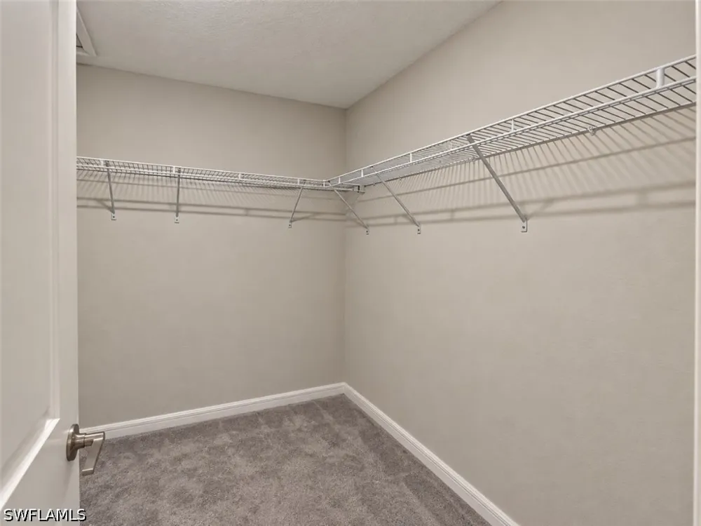 LYONIA LANE Land O Lakes, FL 34637