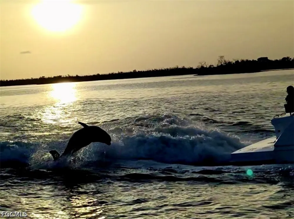 Dandolo Circle Cape Coral, FL 33909