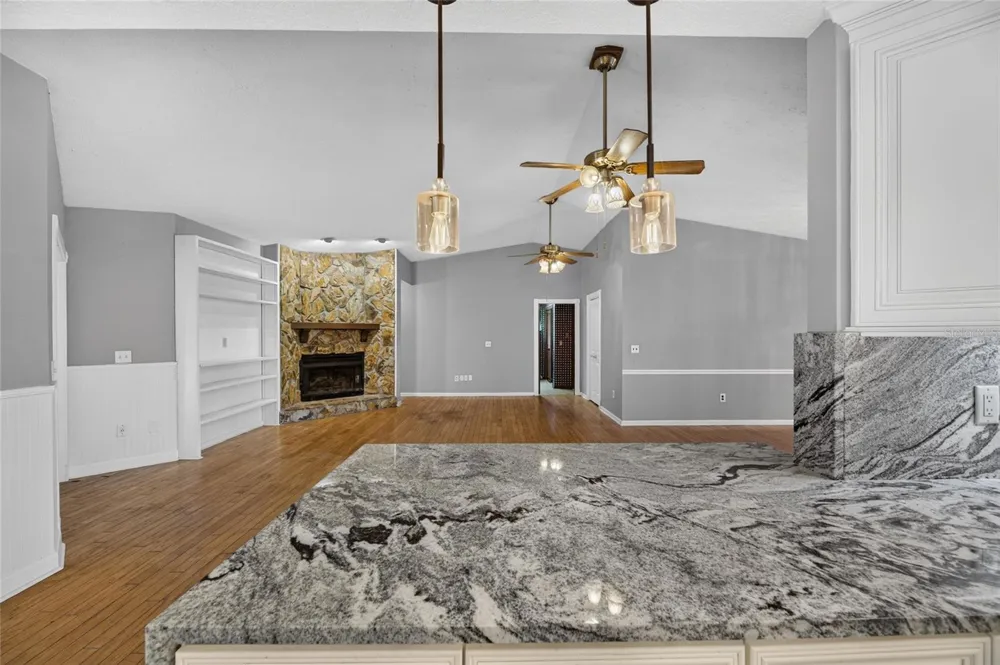2203 GREENHILLS DRIVE Valrico, FL 33596