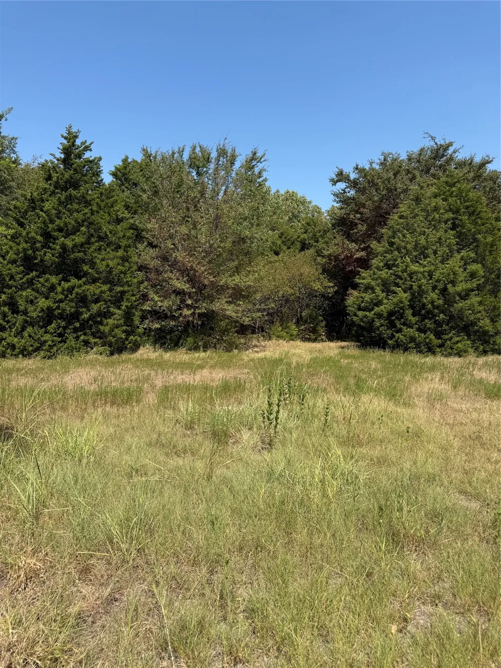 I-20 Wills Point, TX 76169
