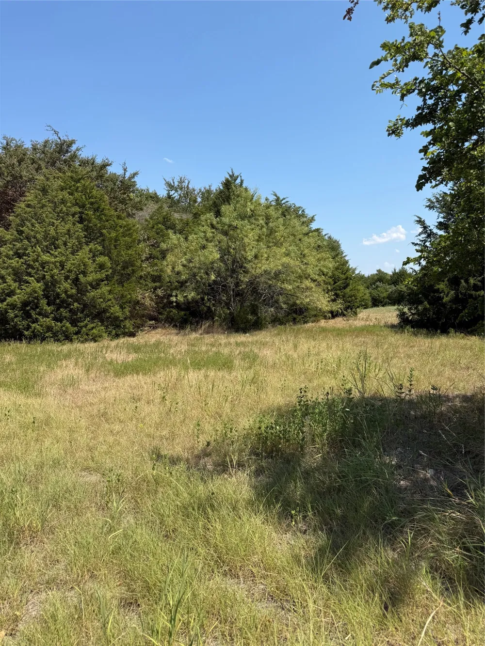I-20 Wills Point, TX 76169