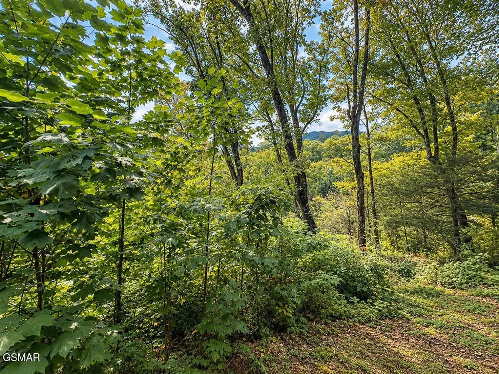 2511 Cove Mountain Lane Sevierville, TN 37862