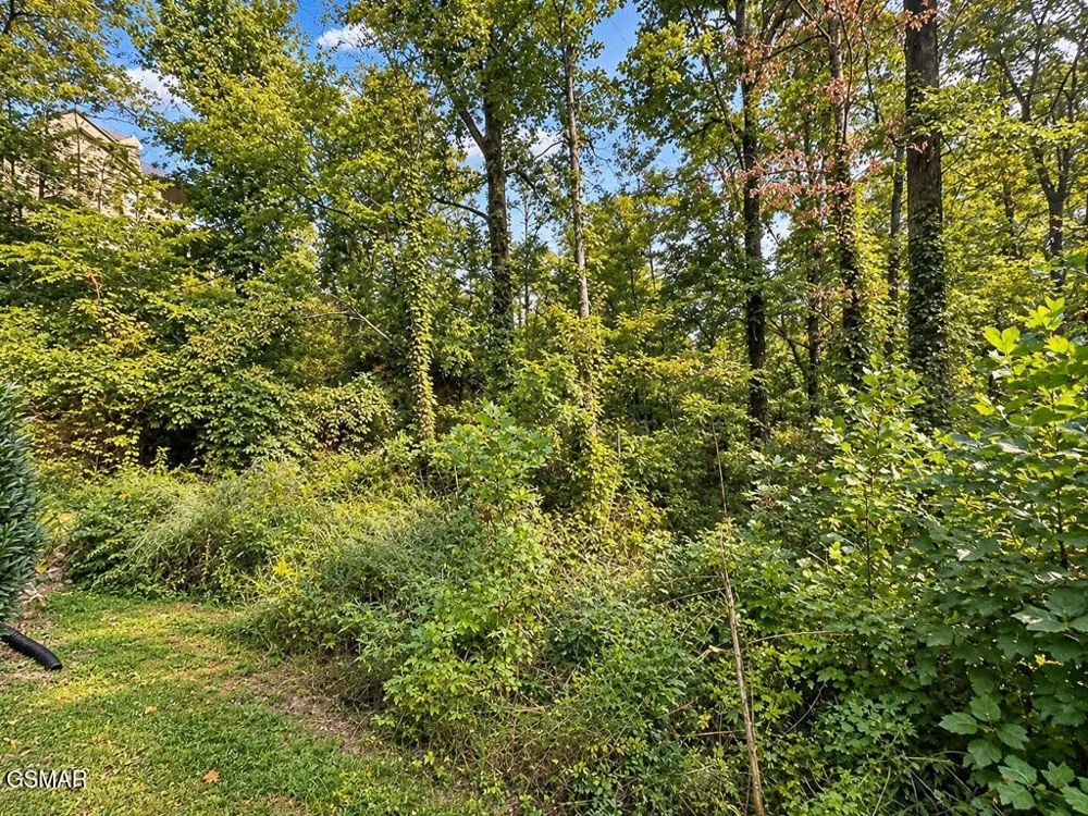 2511 Cove Mountain Lane Sevierville, TN 37862