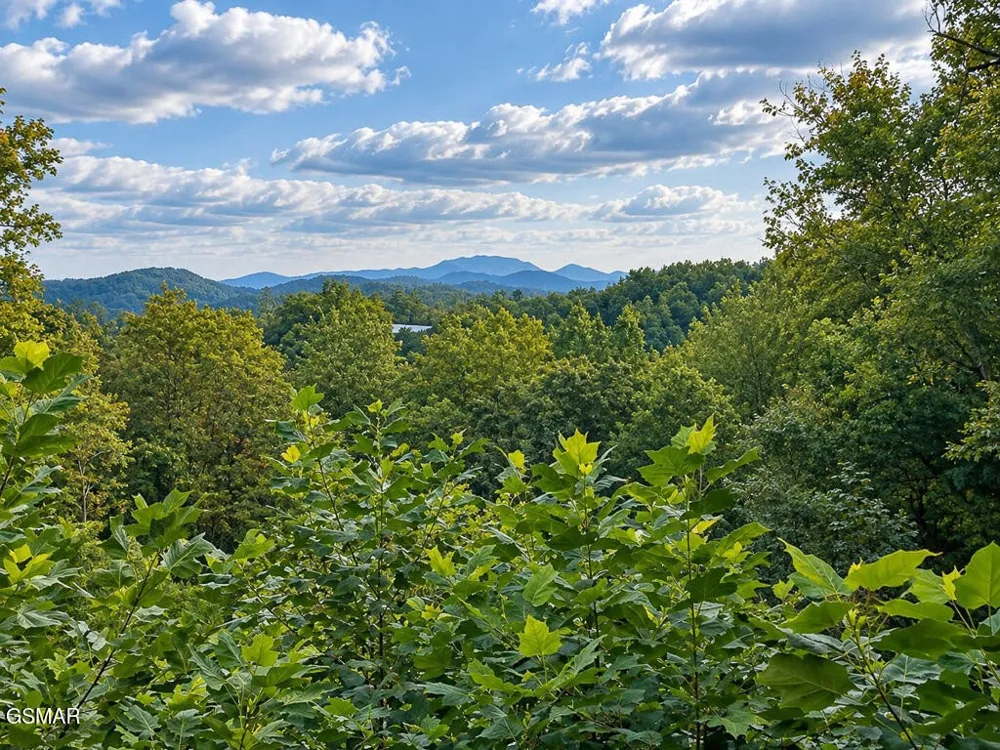 2511 Cove Mountain Lane Sevierville, TN 37862