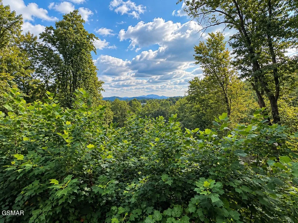 2511 Cove Mountain Lane Sevierville, TN 37862