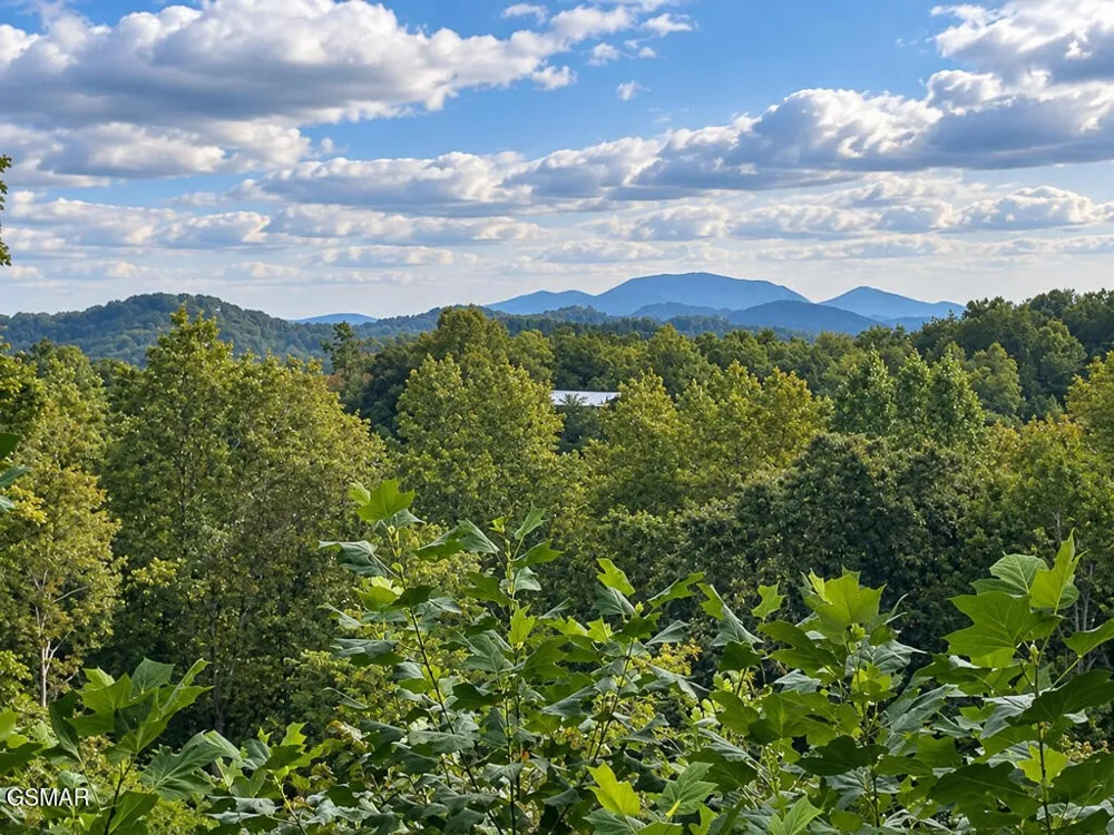 2511 Cove Mountain Lane Sevierville, TN 37862