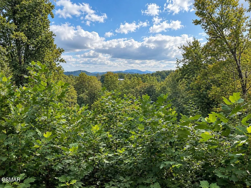 2511 Cove Mountain Lane Sevierville, TN 37862