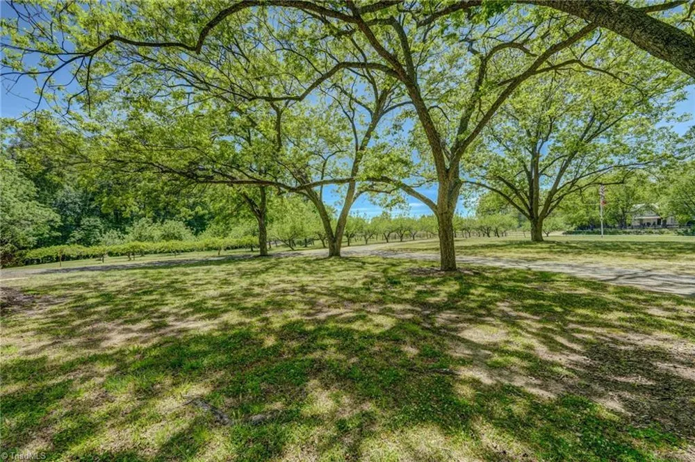 771 NC Highway 150 Reidsville, NC 27320