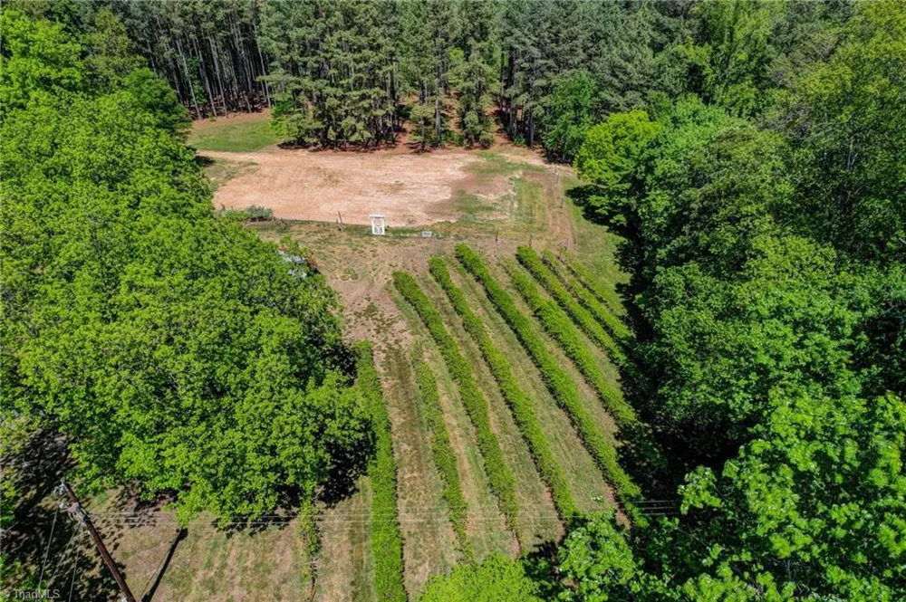 771 NC Highway 150 Reidsville, NC 27320