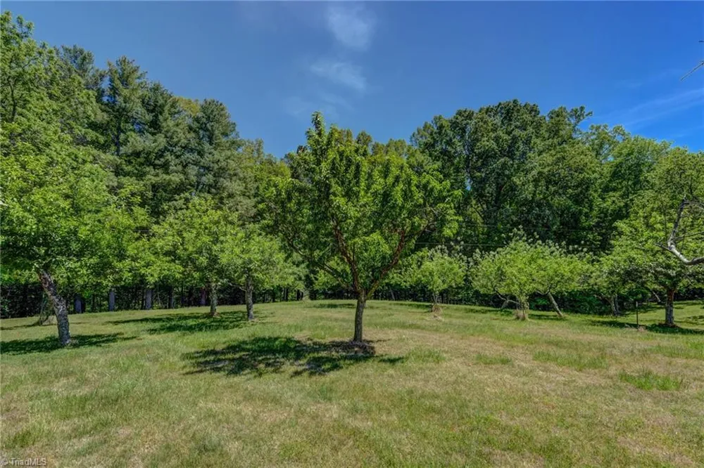 771 NC Highway 150 Reidsville, NC 27320