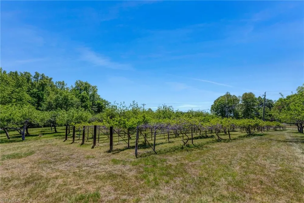 771 NC Highway 150 Reidsville, NC 27320