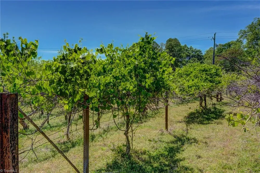 771 NC Highway 150 Reidsville, NC 27320