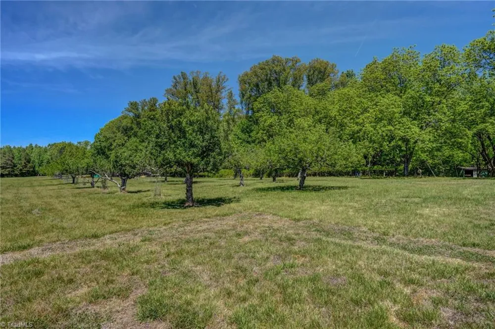 771 NC Highway 150 Reidsville, NC 27320