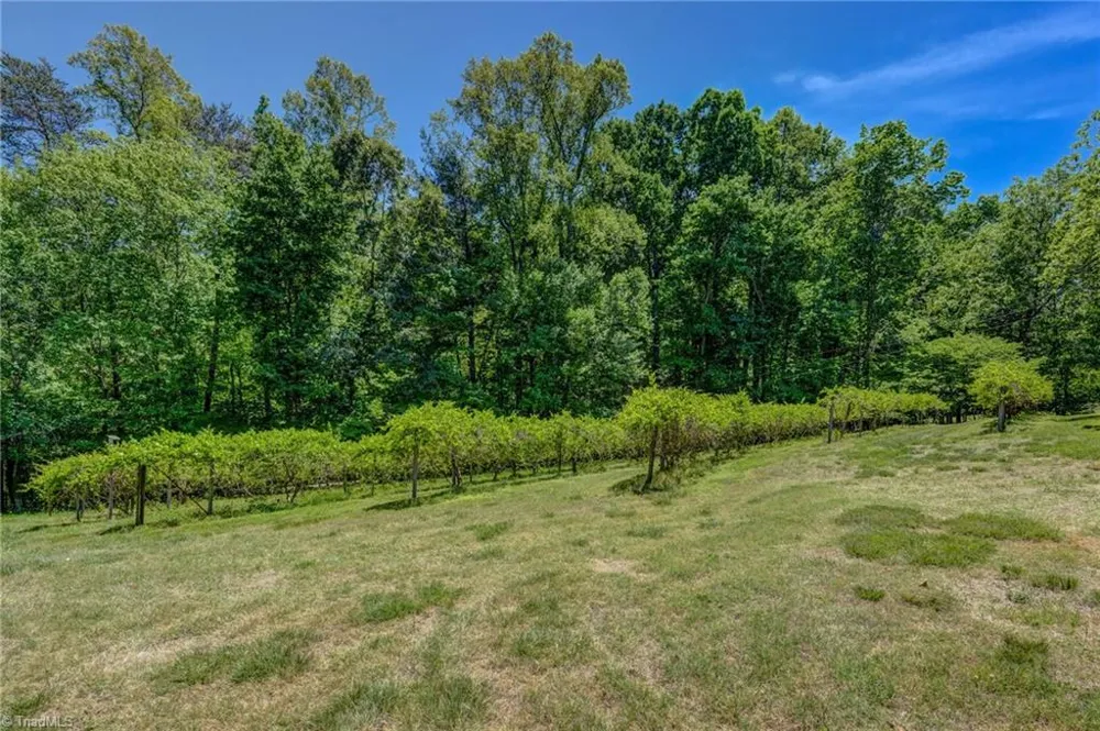 771 NC Highway 150 Reidsville, NC 27320