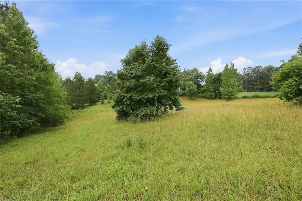 23146 Nc Highway 109 Denton, NC 27239