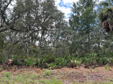 PETERSON ROAD