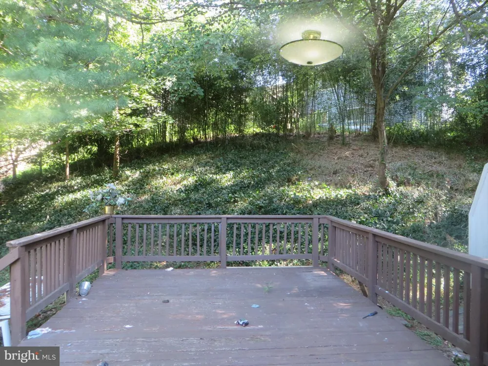 7906 ORANGE PLANK ROAD Springfield, VA 22153