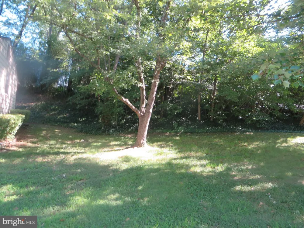 7906 ORANGE PLANK ROAD Springfield, VA 22153