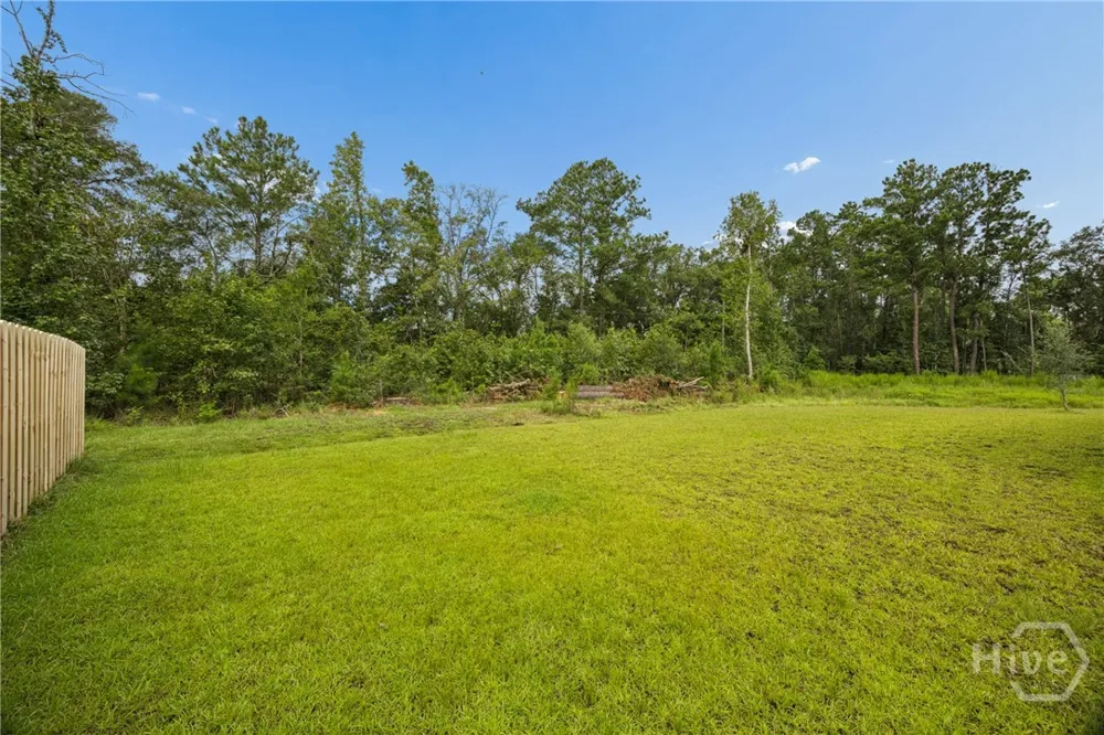 125 Wedge Circle Richmond Hill, GA 31324