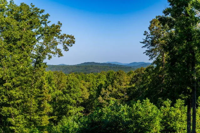 34 Highland Forest Trail Morganton, GA 30560