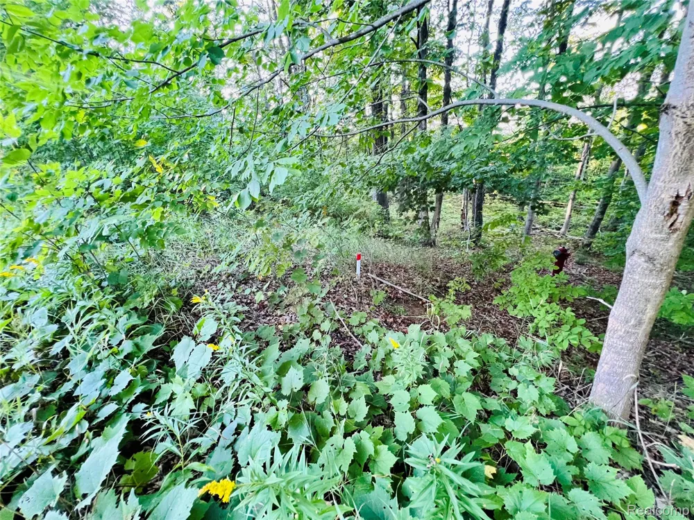 7554 Preserve Drive Petoskey City, MI 49770
