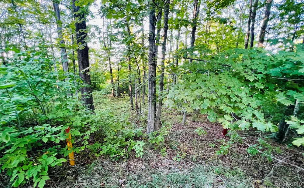 7554 Preserve Drive Petoskey City, MI 49770