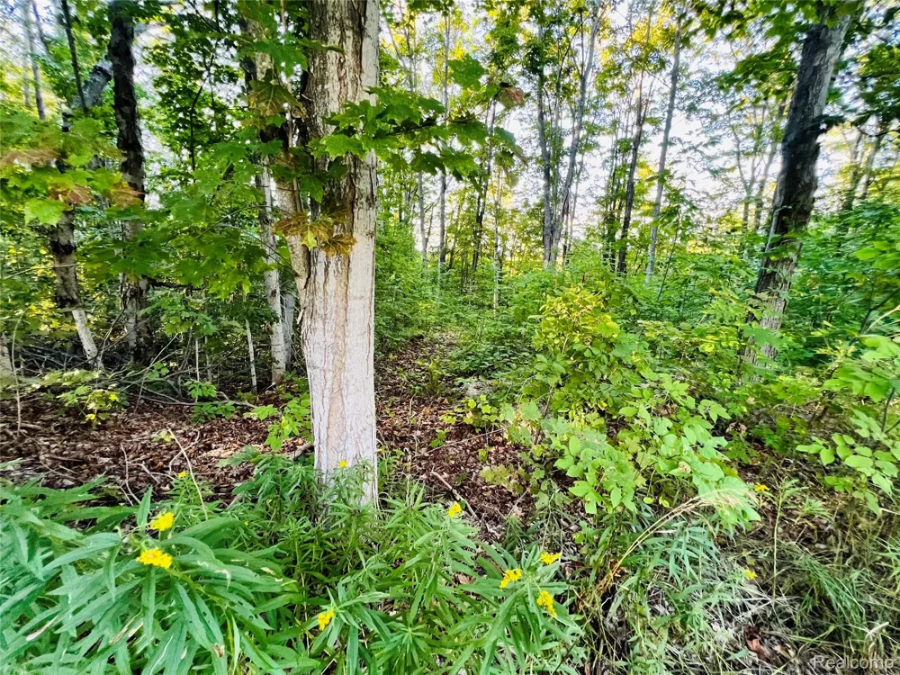 7554 Preserve Drive Petoskey City, MI 49770