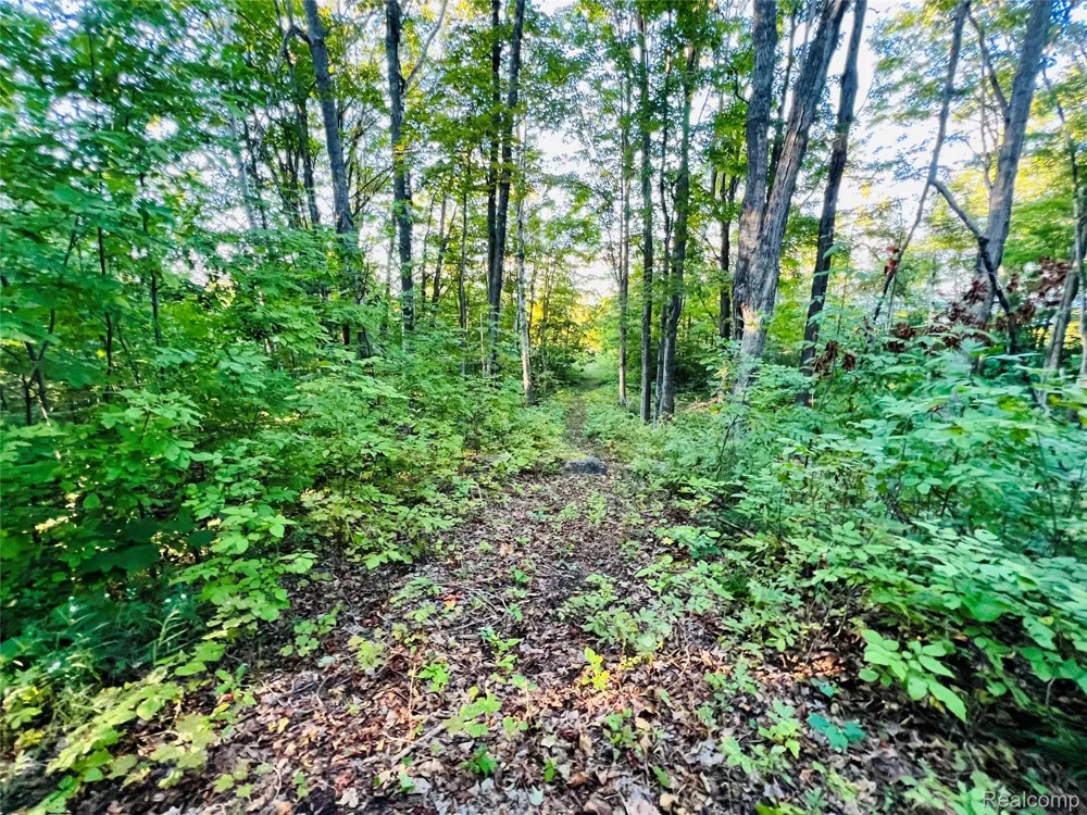 7554 Preserve Drive Petoskey City, MI 49770