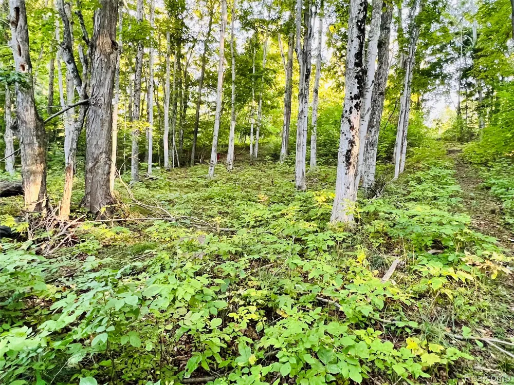 7554 Preserve Drive Petoskey City, MI 49770