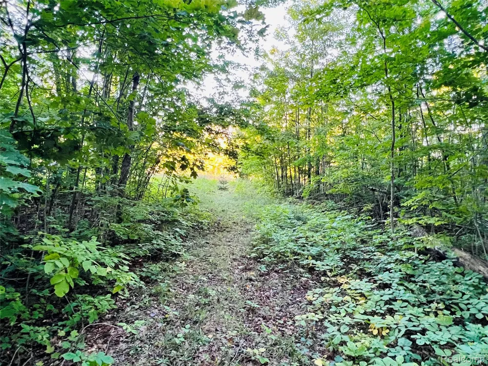 7554 Preserve Drive Petoskey City, MI 49770