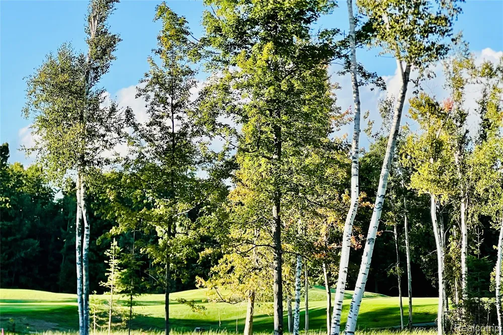7554 Preserve Drive Petoskey City, MI 49770
