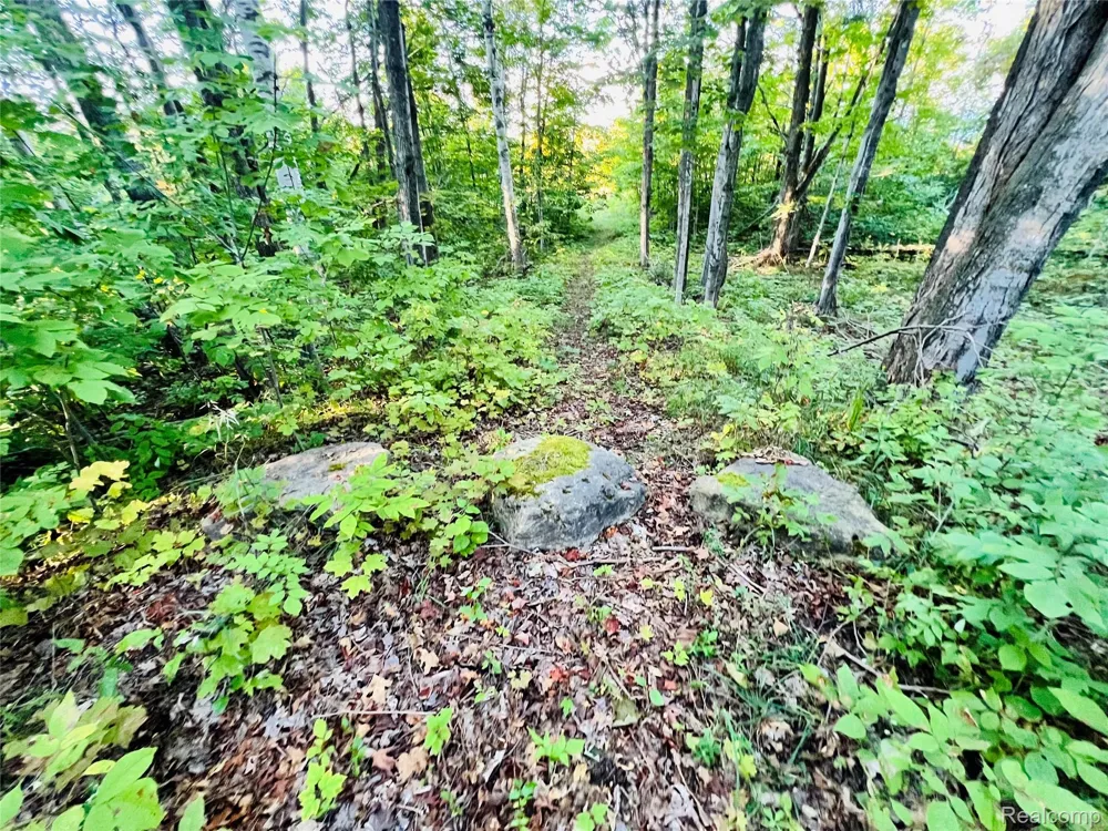 7554 Preserve Drive Petoskey City, MI 49770