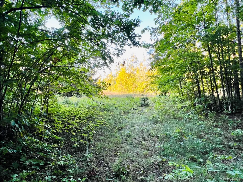 7554 Preserve Drive Petoskey City, MI 49770