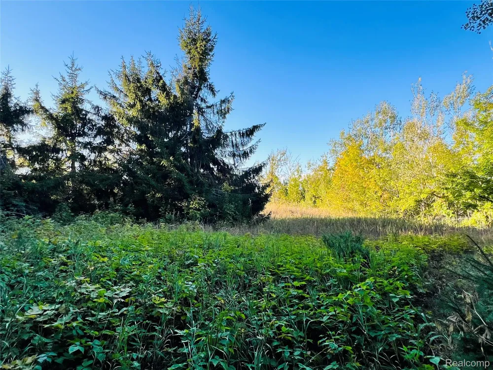 7554 Preserve Drive Petoskey City, MI 49770