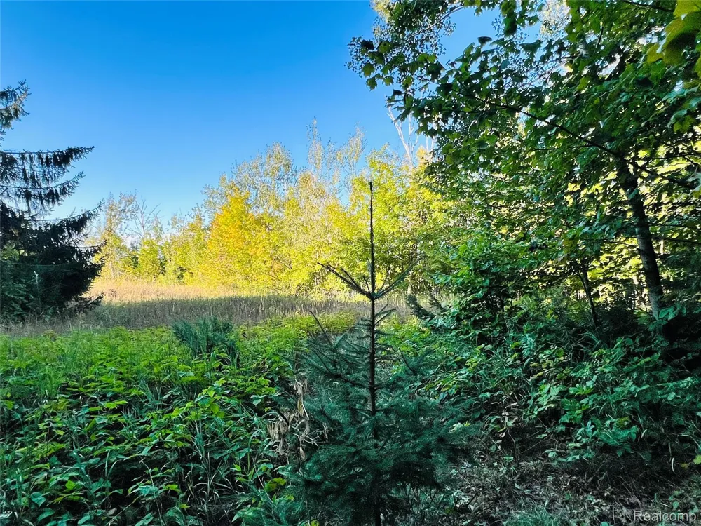 7554 Preserve Drive Petoskey City, MI 49770