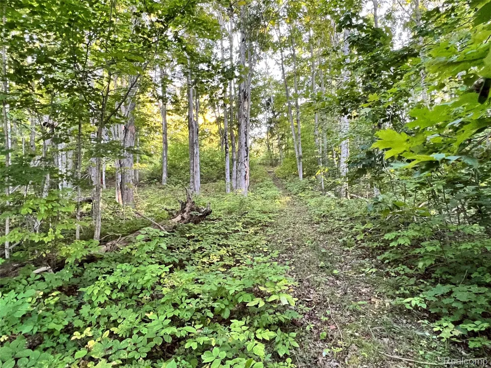 7554 Preserve Drive Petoskey City, MI 49770