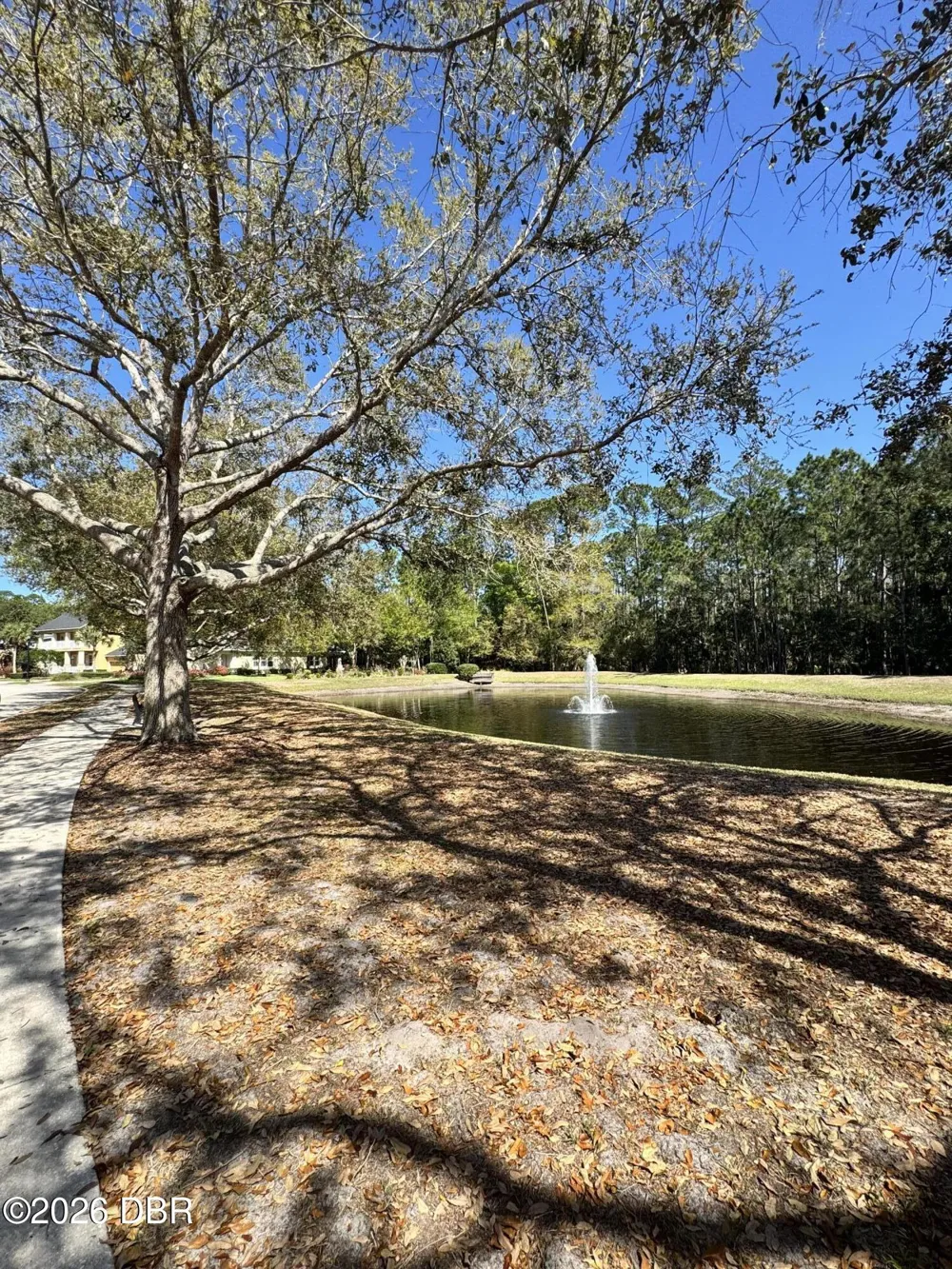 341 Chelsea Place Avenue Ormond Beach, FL 32174