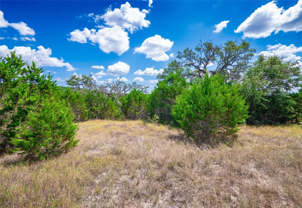 58 Eagle Ridge Burnet, TX 78611