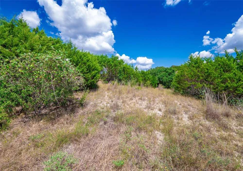 58 Eagle Ridge Burnet, TX 78611