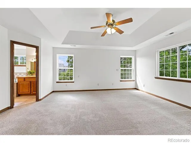 243 Cattail Windsor, CO 80550