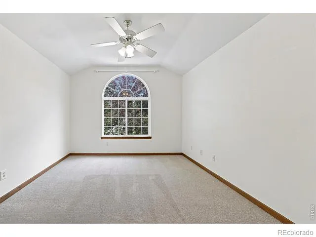 243 Cattail Windsor, CO 80550