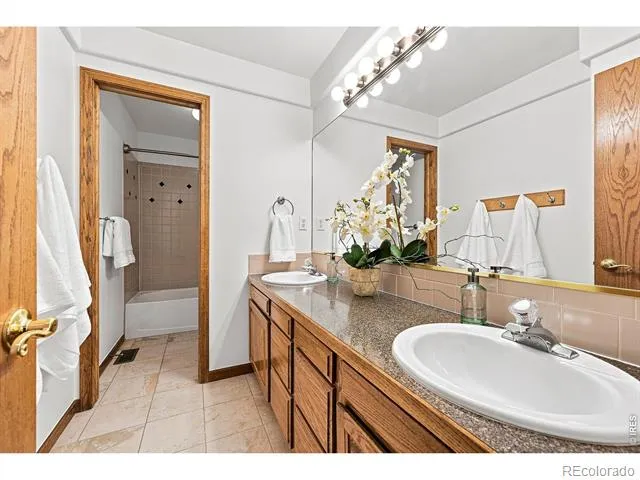 243 Cattail Windsor, CO 80550