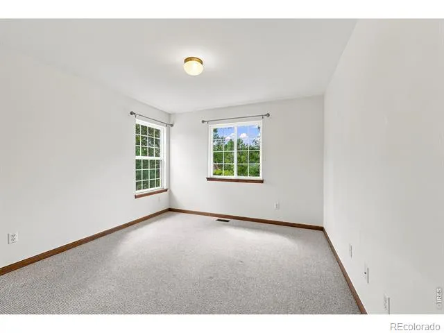 243 Cattail Windsor, CO 80550
