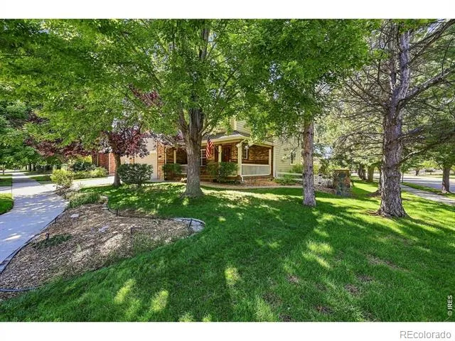 243 Cattail Windsor, CO 80550