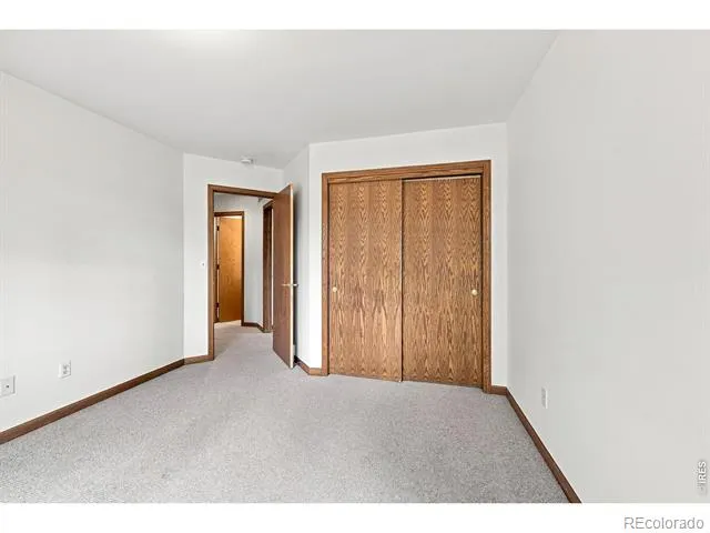 243 Cattail Windsor, CO 80550