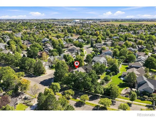 243 Cattail Windsor, CO 80550